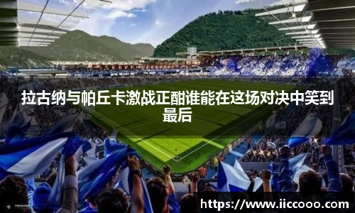 mk体育mksport